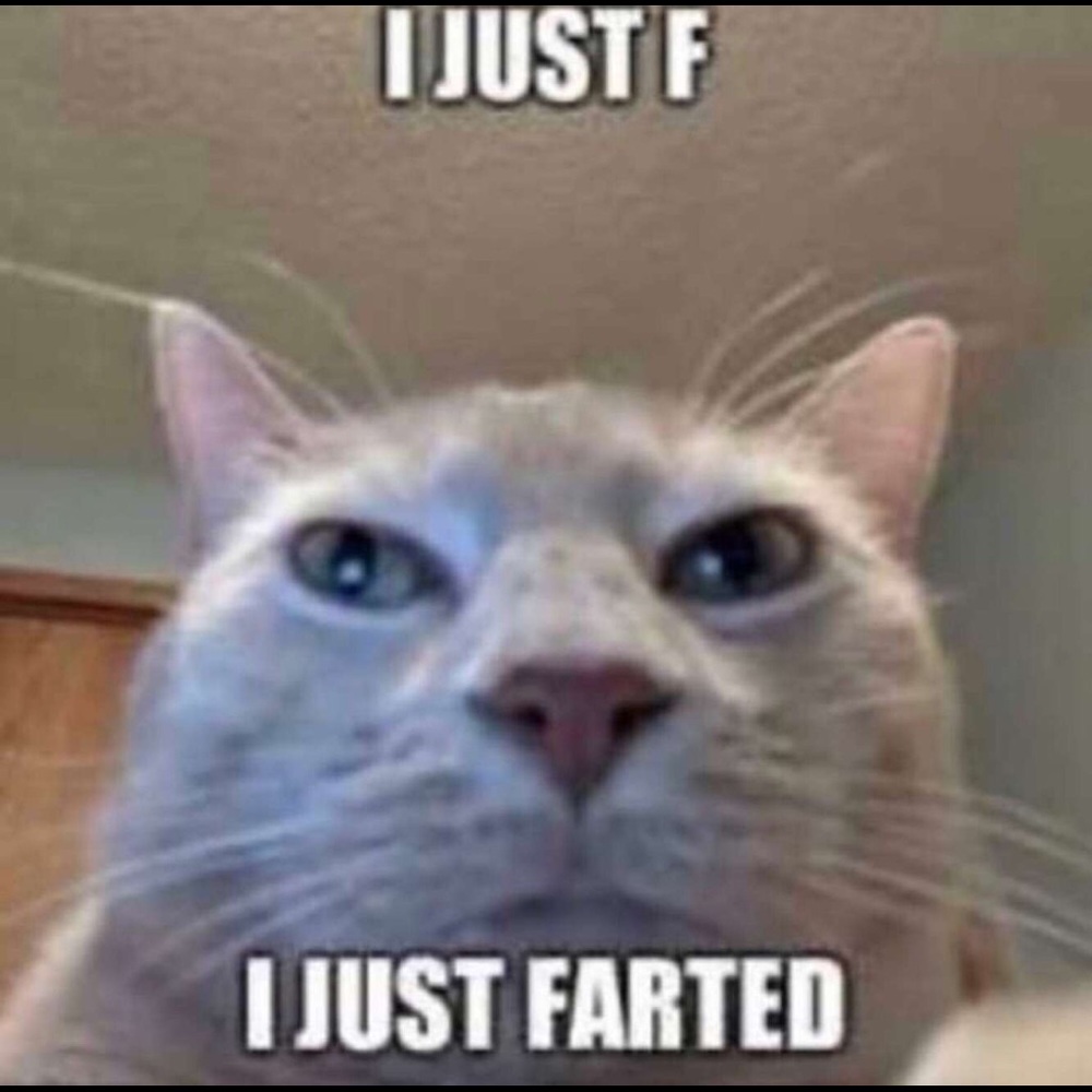 Meet your Posher, Joshua